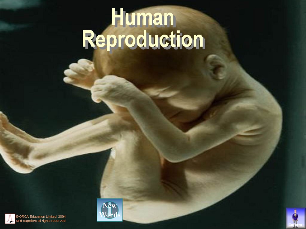 © ORCA Education 2003 Human Reproduction © ORCA Education Limited 2004 and suppliers all